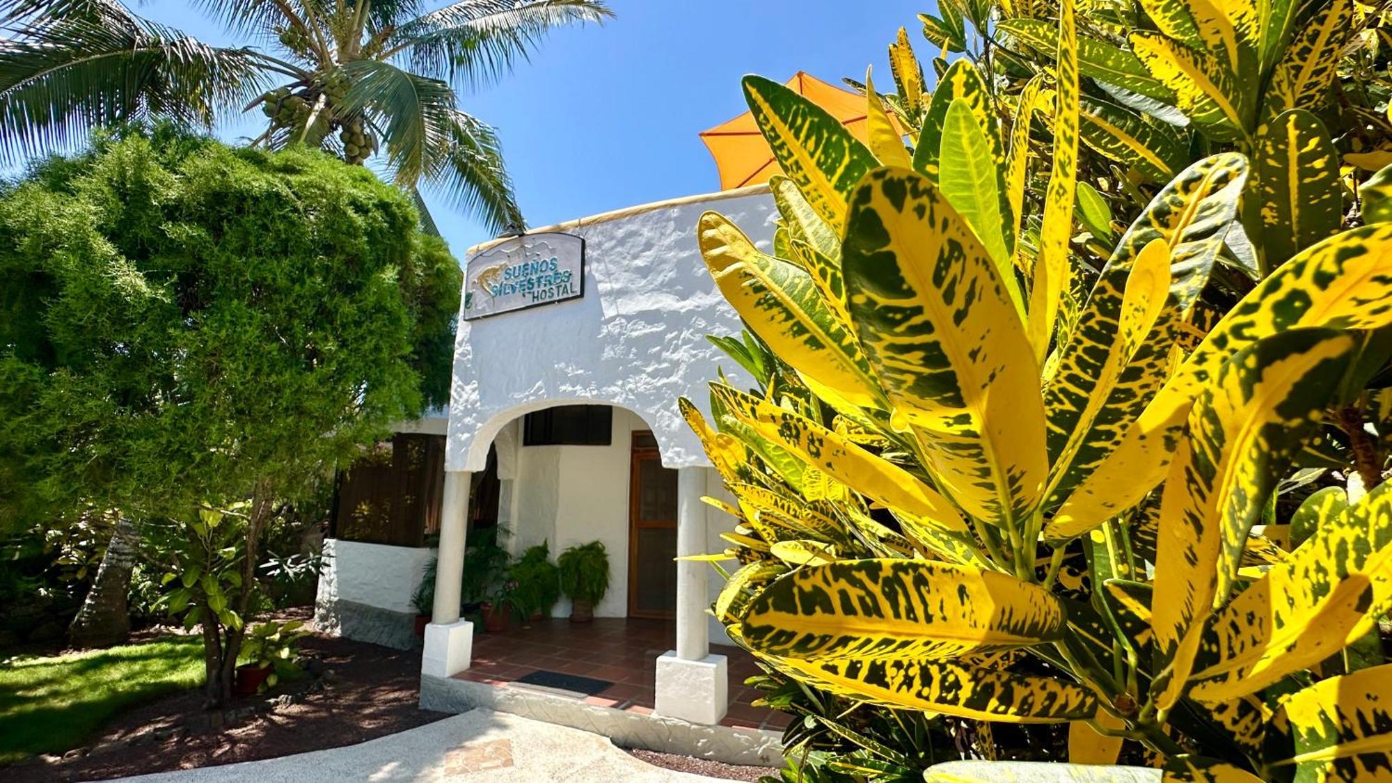 Hostal Suenos Silvestres Puerto Ayora  Eksteriør bilde