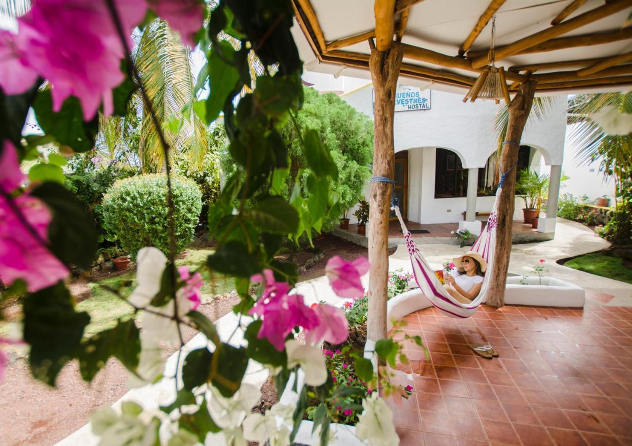 Hostal Suenos Silvestres Puerto Ayora  Eksteriør bilde